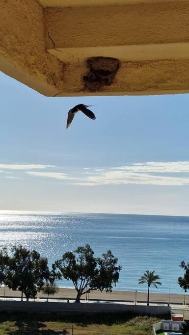 Apartamento 3 Habitaciones Con Piscina Y Vistas Al Mar Benicàssim Eksteriør bilde