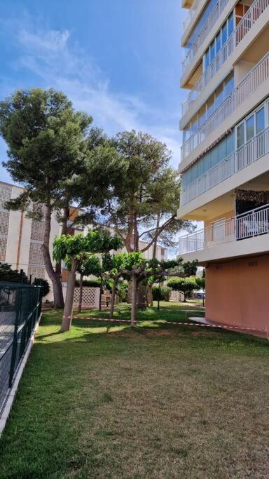 Apartamento 3 Habitaciones Con Piscina Y Vistas Al Mar Benicàssim Eksteriør bilde